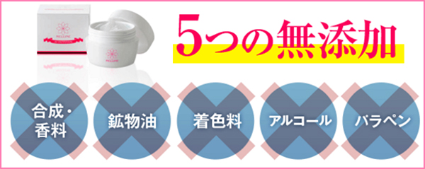 �������C���͖��Y��